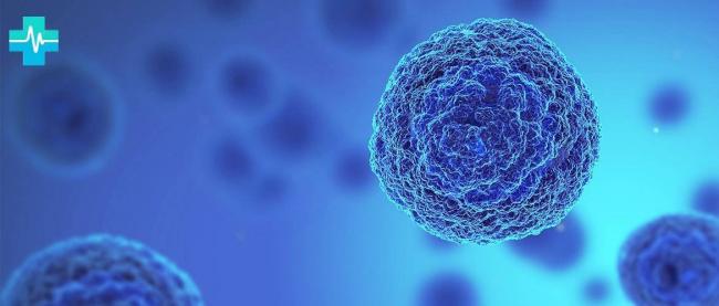 Какие болезни человека, животных и растений связаны с бактериями