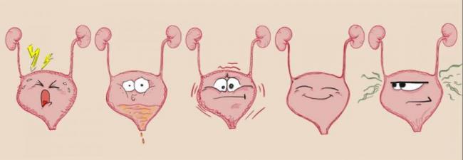 Бактерии в моче у мужчин: причины появления, возможные заболевания и методы лечения