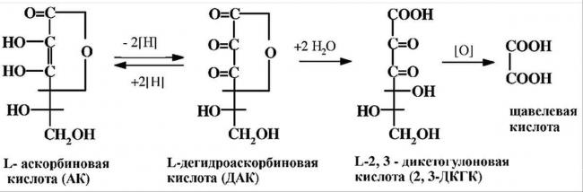 Витамин с при простуде (аскорбиновая кислота)