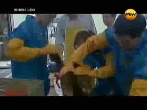 Синтетические организмы – новое оружие массового поражения / vlasti.net