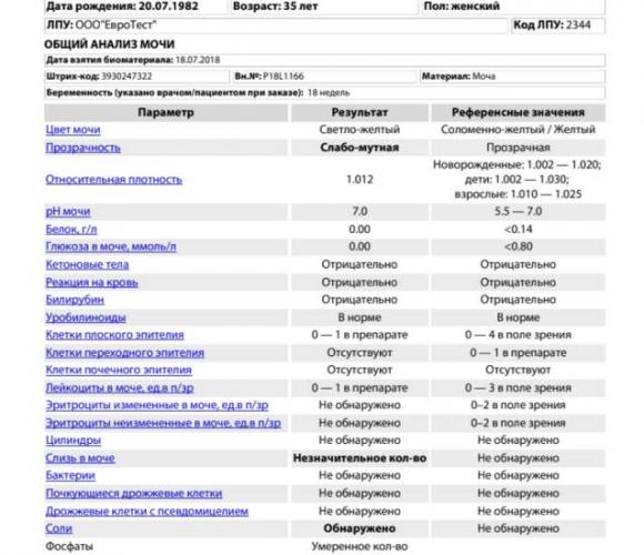 Что значат бактерии в моче у женщин, расшифровка результатов анализов и лечение