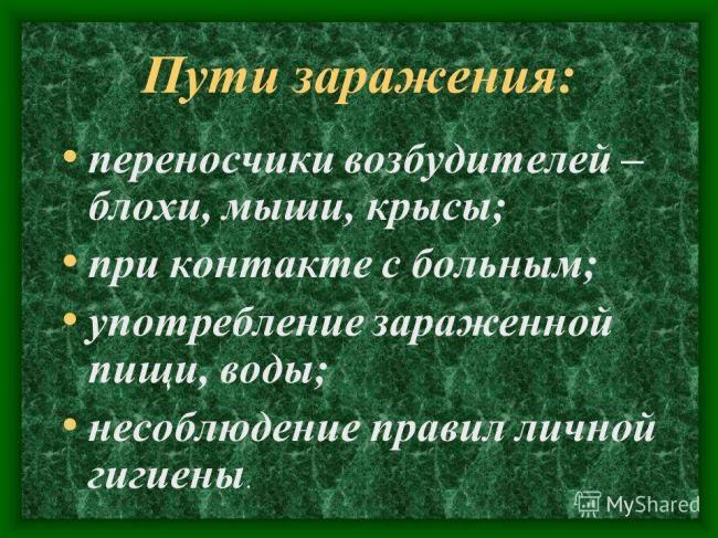 Урок биологии в 6 классе "распространение бактерий. значение бактерий в природе и жизни человека"