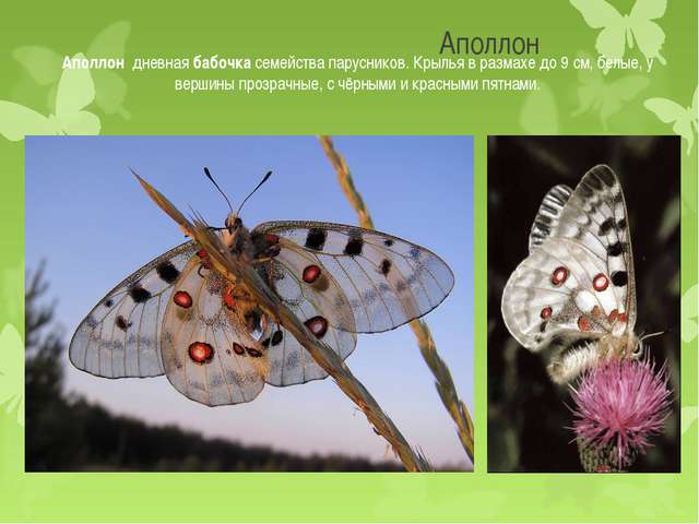 Где и как человек использует бактерии