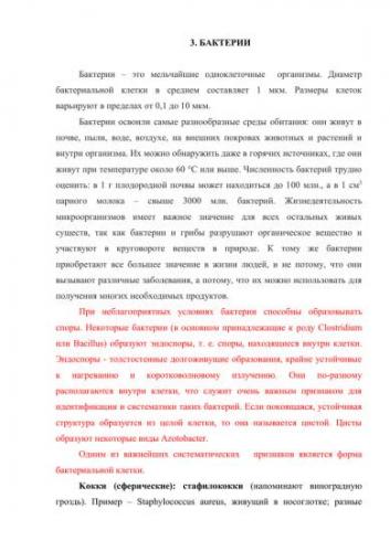 Состав клетки бактерии и функции цитоплазмы