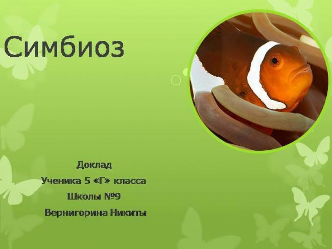 Польза и вред бактерий-симбионтов для живых организмов