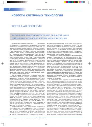 Стволовая клетка : definition of стволовая клетка and synonyms of стволовая клетка (russian)