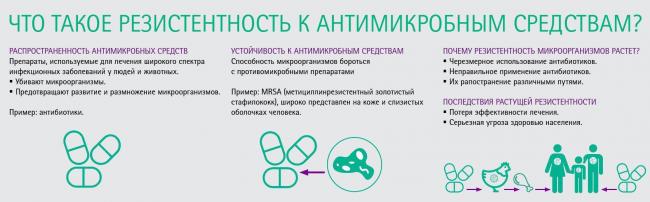 Современные антибиотики, против каких бактерий их применять