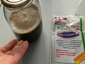 Как применять "фитоспорин-м": описание, способы применения, дозировка