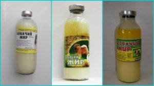 Собачий жир: применение, польза и вред