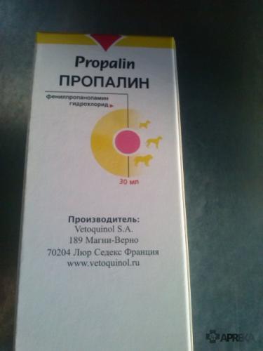 Насколько полезен пропалин для собак?