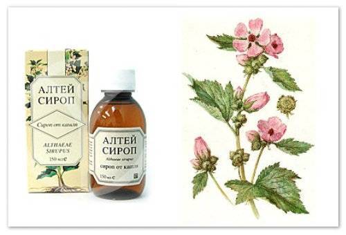 Мукалтин Инструкция По Применению Сироп Для Детей