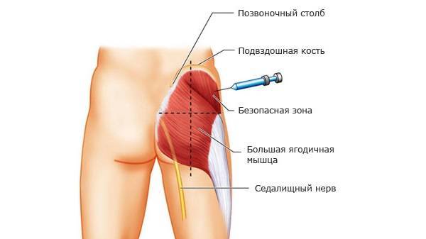 Сульфокамфокаин инструкция по применению для кошек