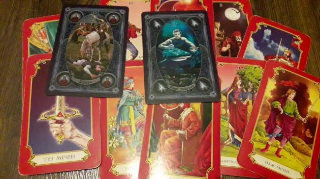 Вирусы, микробы и бактерии: в чем отличия?