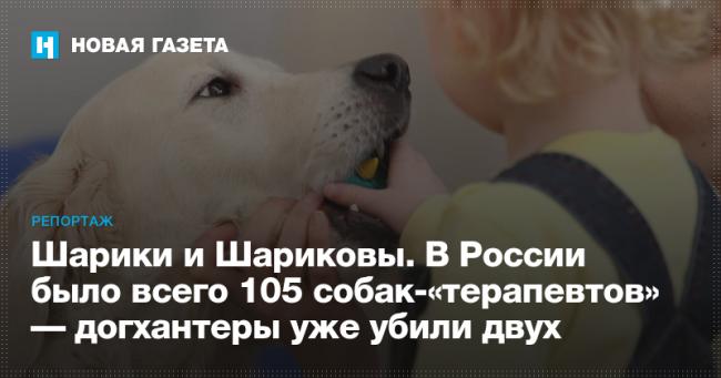 Признаки отравления собаки: изониазидом и правила первой помощи