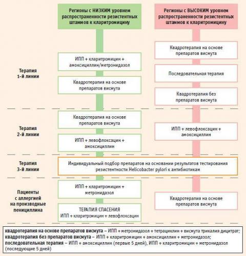 Хеликобактер пилори: лечиться или нет?