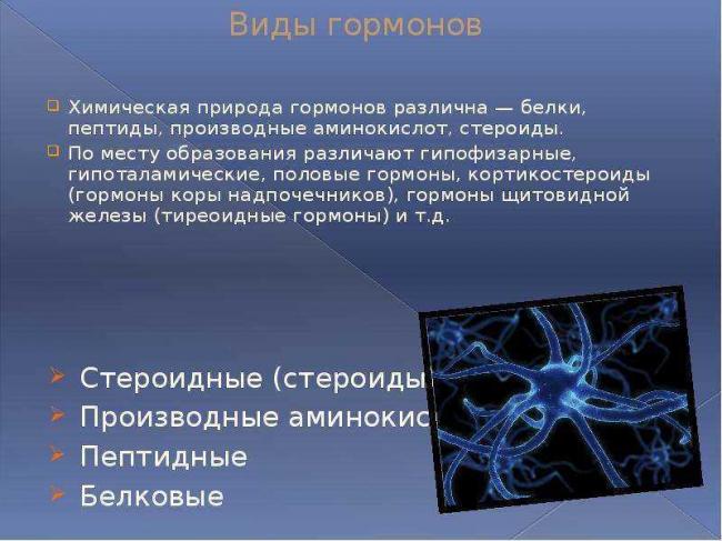 Кашель собачий жир детям