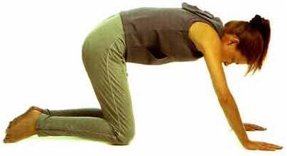 Лфк при сколиозе у детей и подростков