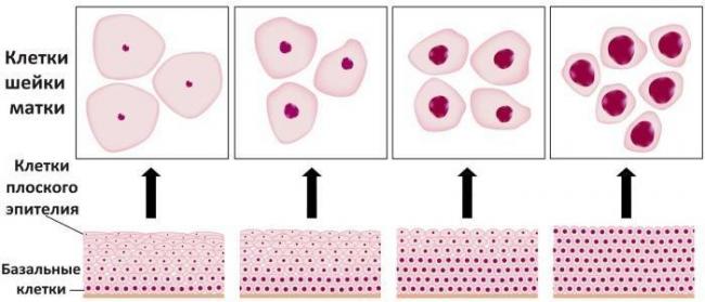 Карта сайта