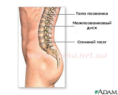 Ложный спондилолистез шейного отдела позвоночника