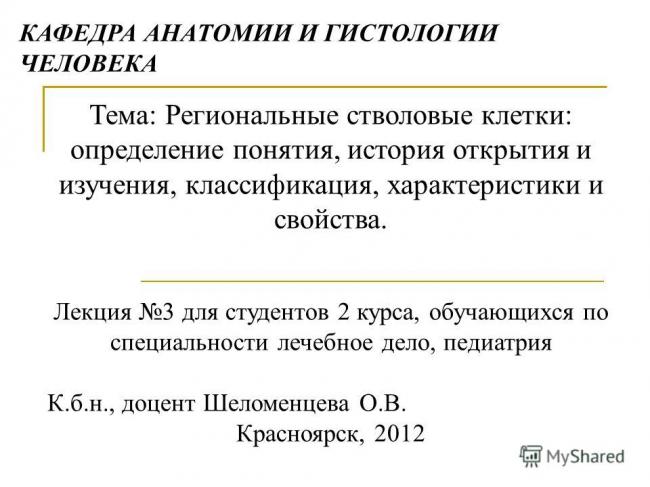 Стволовая клетка