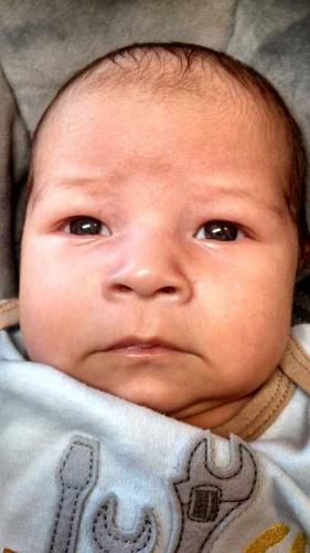 Алоэ в нос детям: рецепты средств из сока растения, и надо ли разводить, можно ли применять для лечения насморка у грудничков, как правильно сделать и закапать?