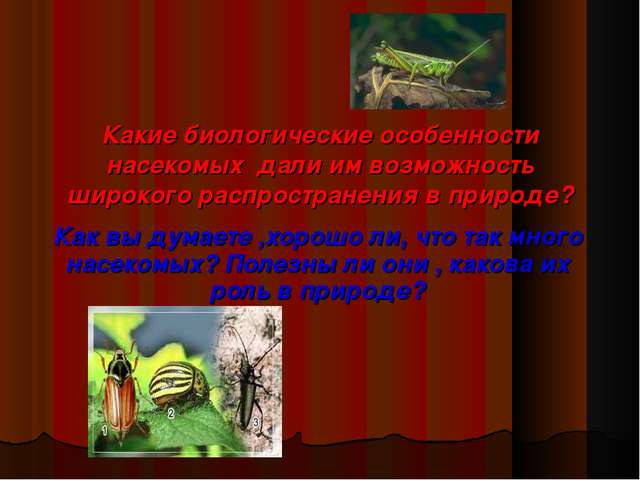 Бактерии и их роль в природе и круговороте веществ