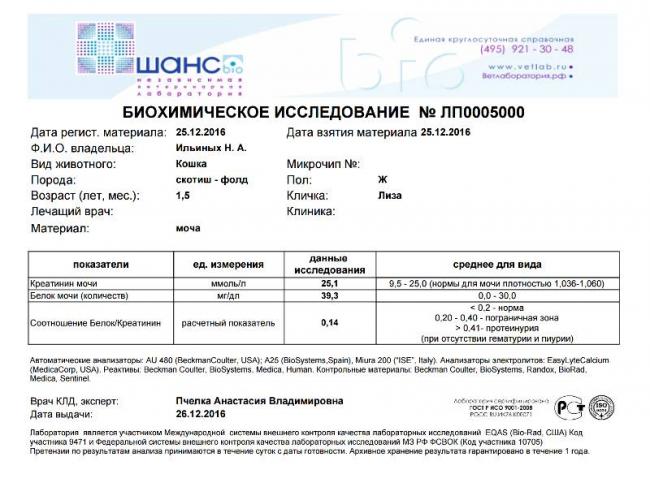 Бактерии в моче — инфекция или нарушение гигиены?