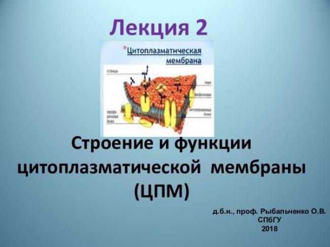 Бактерии. строение бактериальной клетки. формы. фото
