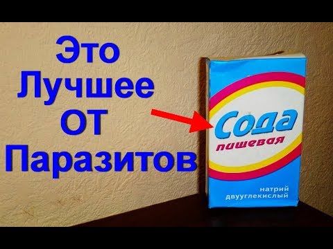 Как вывести паразитов из организма в домашних условиях - народные средства и медикаменты для детей и взрослых