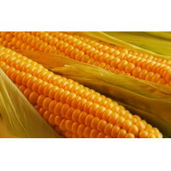 Крупы для похудения и выведения жира. список лучших, полезных, диетических