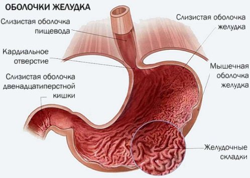 Диета при повышенной кислотности желудка