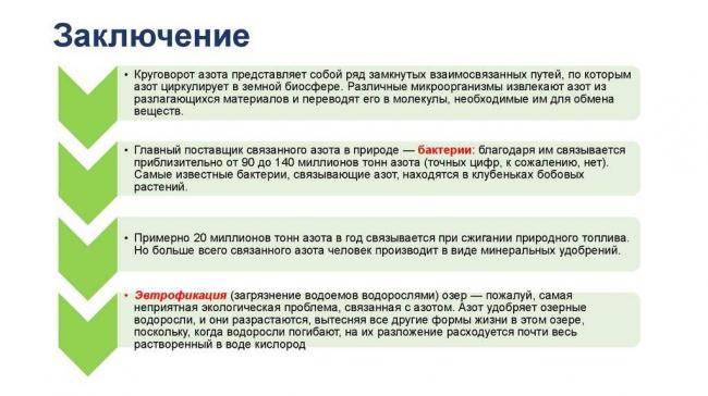 Круговорот азота в природе