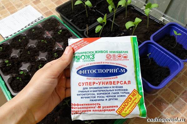 Фитоспорин