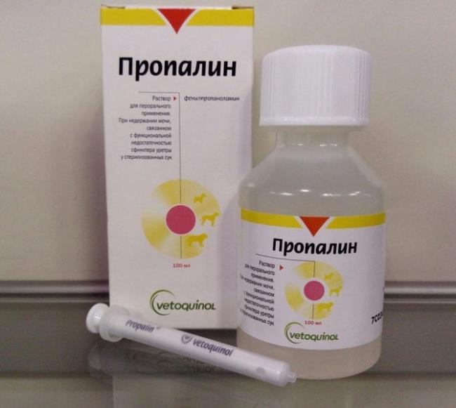 Состав и форма выпуска пропалина, инструкция по применению, аналоги пропалина для собак