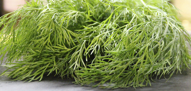 Слабительное в домашних условиях быстрого действия