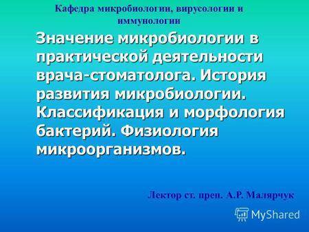 Польза и вред молочнокислых бактерий