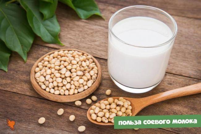 Обзор исследований о вреде молока и молочных продуктов для здоровья организма – 6 фактов