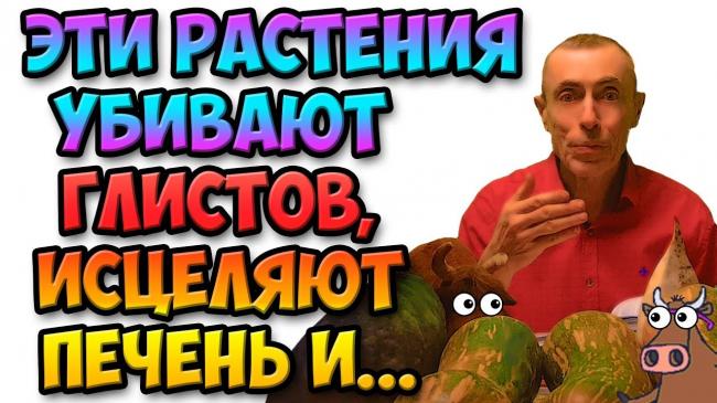 Сода от паразитов – правда или миф?