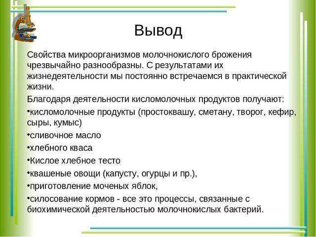 Любители тепла – термофильные свободноживущие бактерии