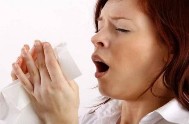 Как узнать аллергия это или простуда