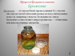 Где и как человек использует бактерии