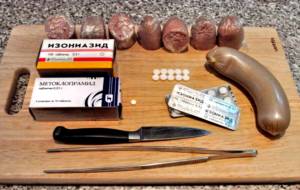 Отравление изониазидом у собак: скорая помощь