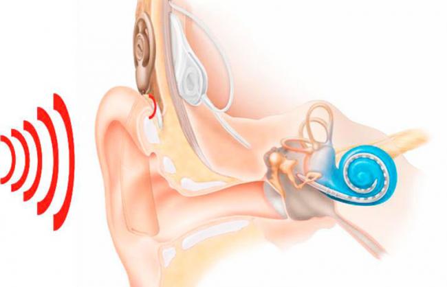 Гентамицин - инструкция по применению, отзывы, аналоги и формы выпуска (мазь 0,1%, капли глазные 0,3% декса, уколы в ампулах для инъекций в растворе, таблетки) лекарства для лечения инфекций у взрослых, детей и при беременности