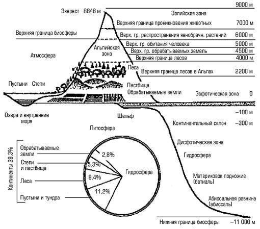Круговорот азота