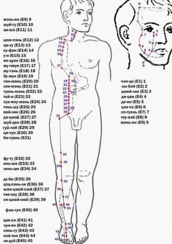 Болит копчик к какому врачу обратиться