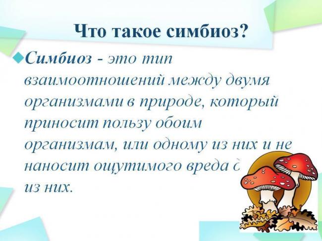 Уникальный подарок для земледельцев и феномен для ученых – азотфиксирующие клубеньковые бактерии