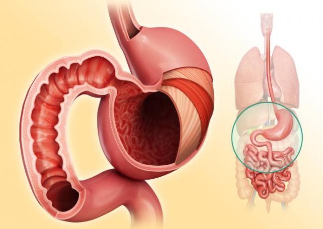 Недостаточно кардии желудка народное лечение