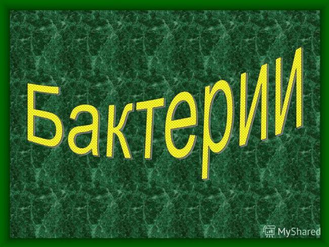 Урок биологии в 6 классе "распространение бактерий. значение бактерий в природе и жизни человека"