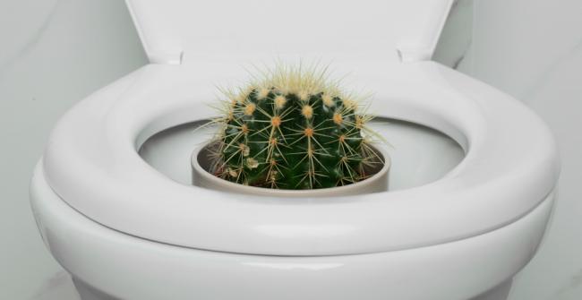 Геморрой – причины возникновения у мужчин и женщин, от чего появляется геморрой после родов?