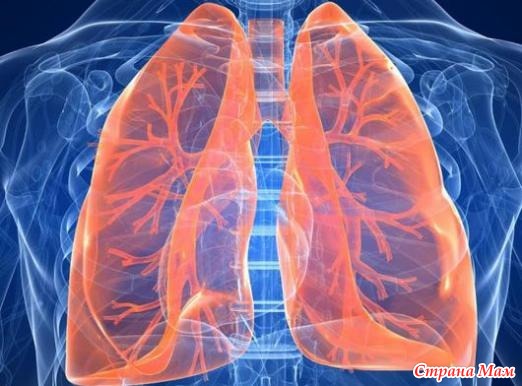 Пневмосклероз легких – симптомы, лечение, базальный пневмосклероз
